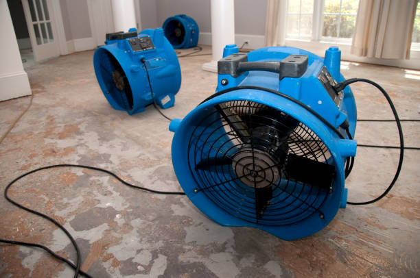Best 24/7 water damage repair  in West York, PA