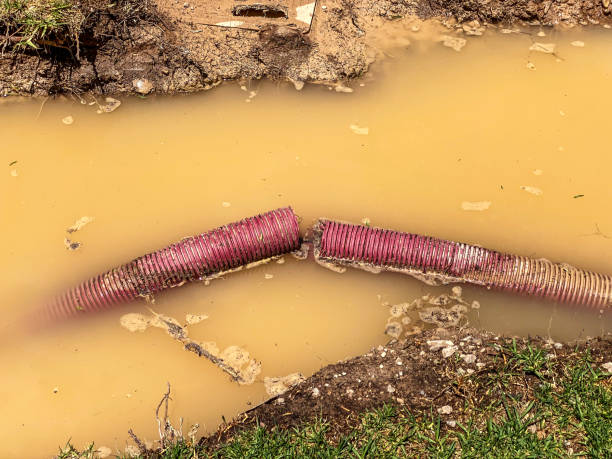 Carpet water damage restoration in PA