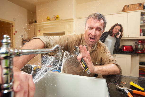 Best Professional water damage repair  in West York, PA